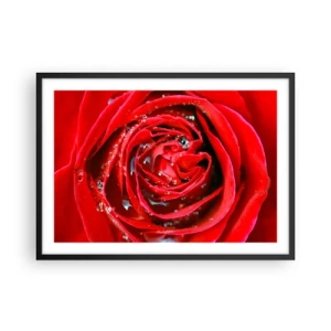 Plakát v černém rámu - V kapkách rosy - 70x50 cm