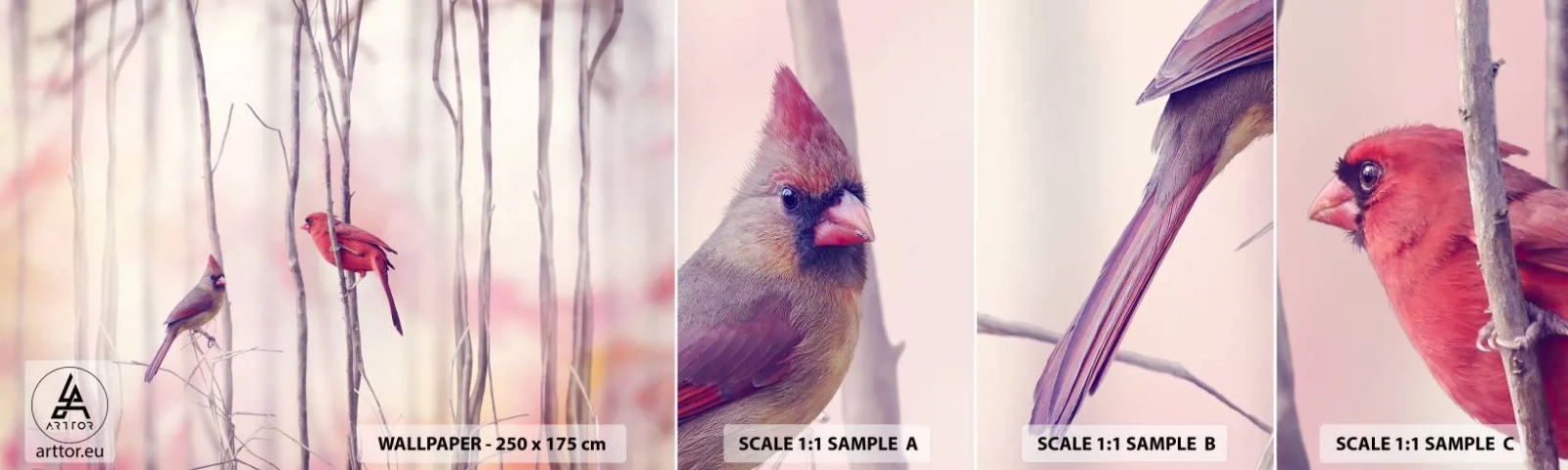 Vzor Fototapety Samolepicí Deluxe Sticker - Příběh růžového lesa - Pták, Příroda, Les - 100x30 cm