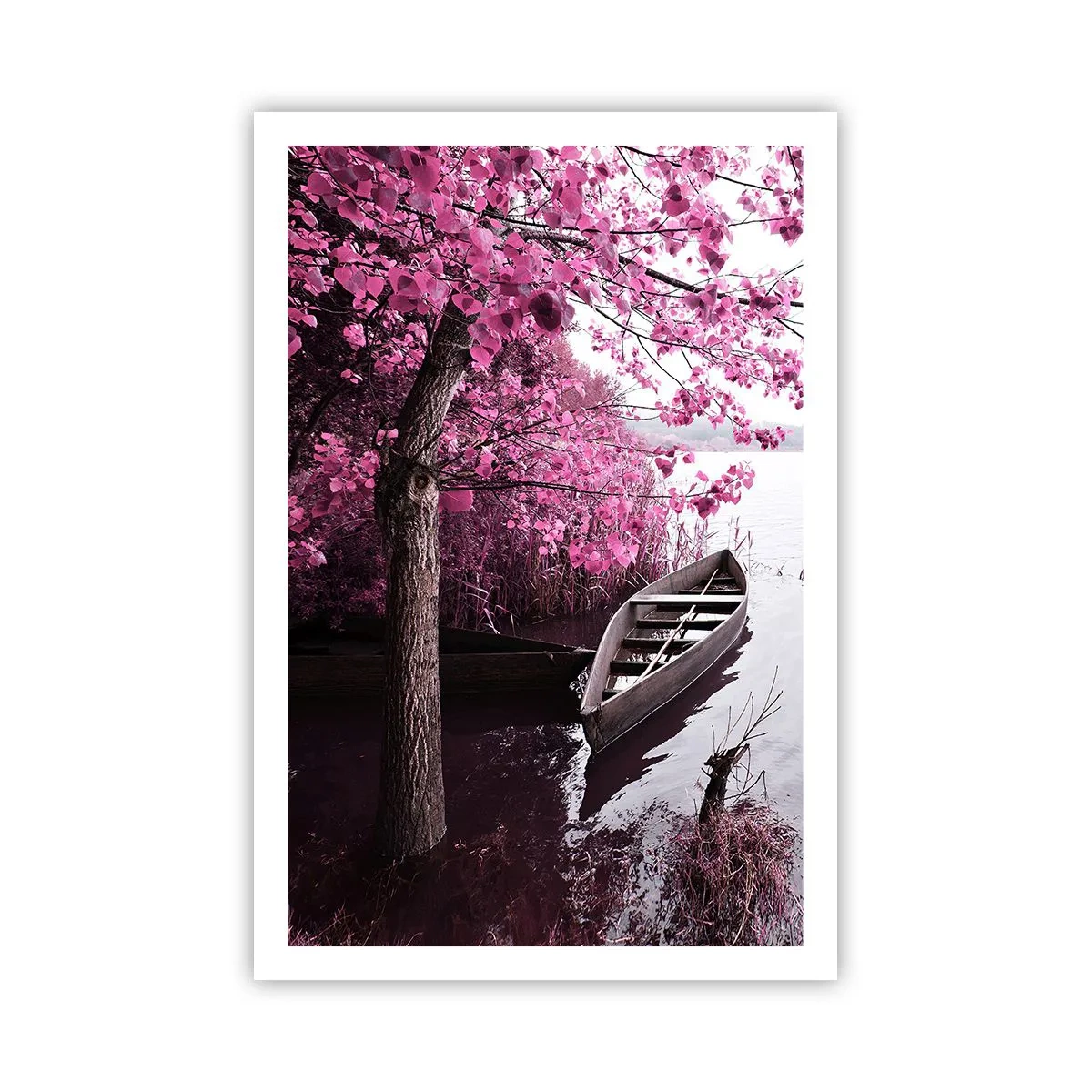 Plakát - V růžovém tichu - 61x91 cm