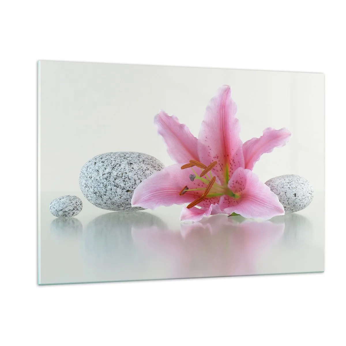 Obraz na skle - Studie v růžové, šedé a bílé - 120x80 cm