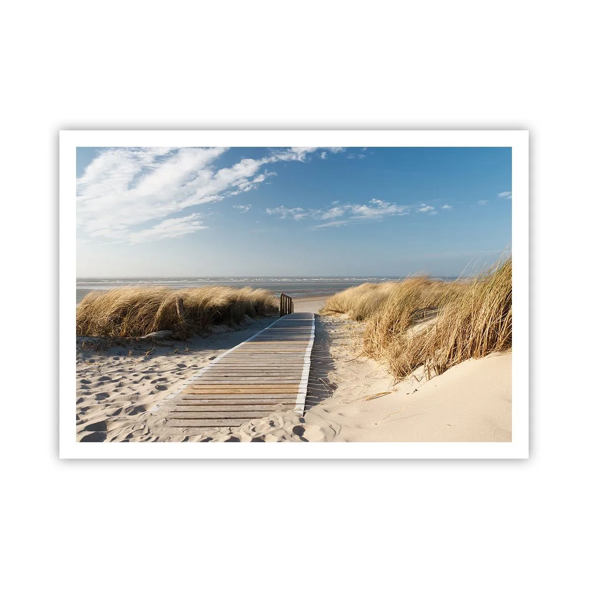 Plakát - Za dunou, v šumění trávy - 100x70 cm