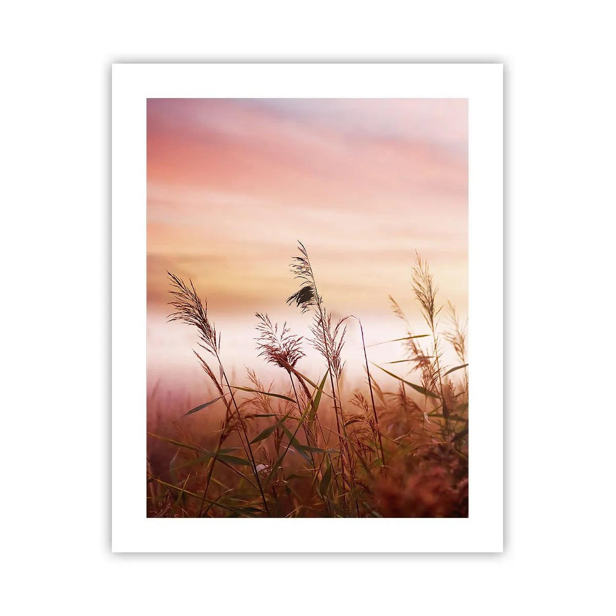 Plakát - Draci, pampelišky a vítr - 40x50 cm