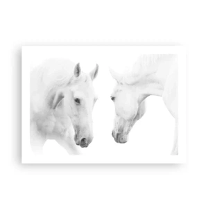 Plakát - Je to přátelství…? - 70x50 cm