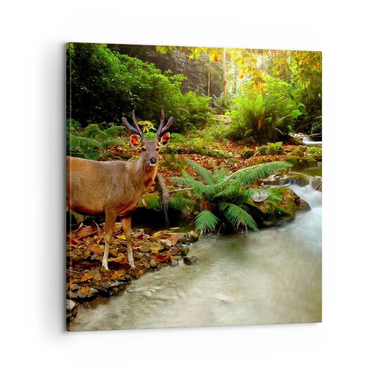 Obraz na plátně - Vítám v mém světě - 60x60 cm