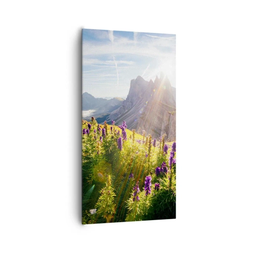 Obraz na plátně - Tajemný život bylin - 65x120 cm