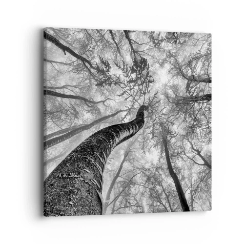 Obraz na plátně - Závod ke světlu - 40x40 cm