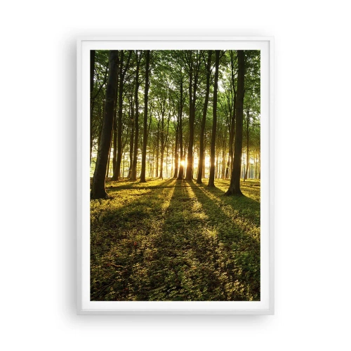 Plakát v bílém rámu - Fotografie všech jar - 70x100 cm