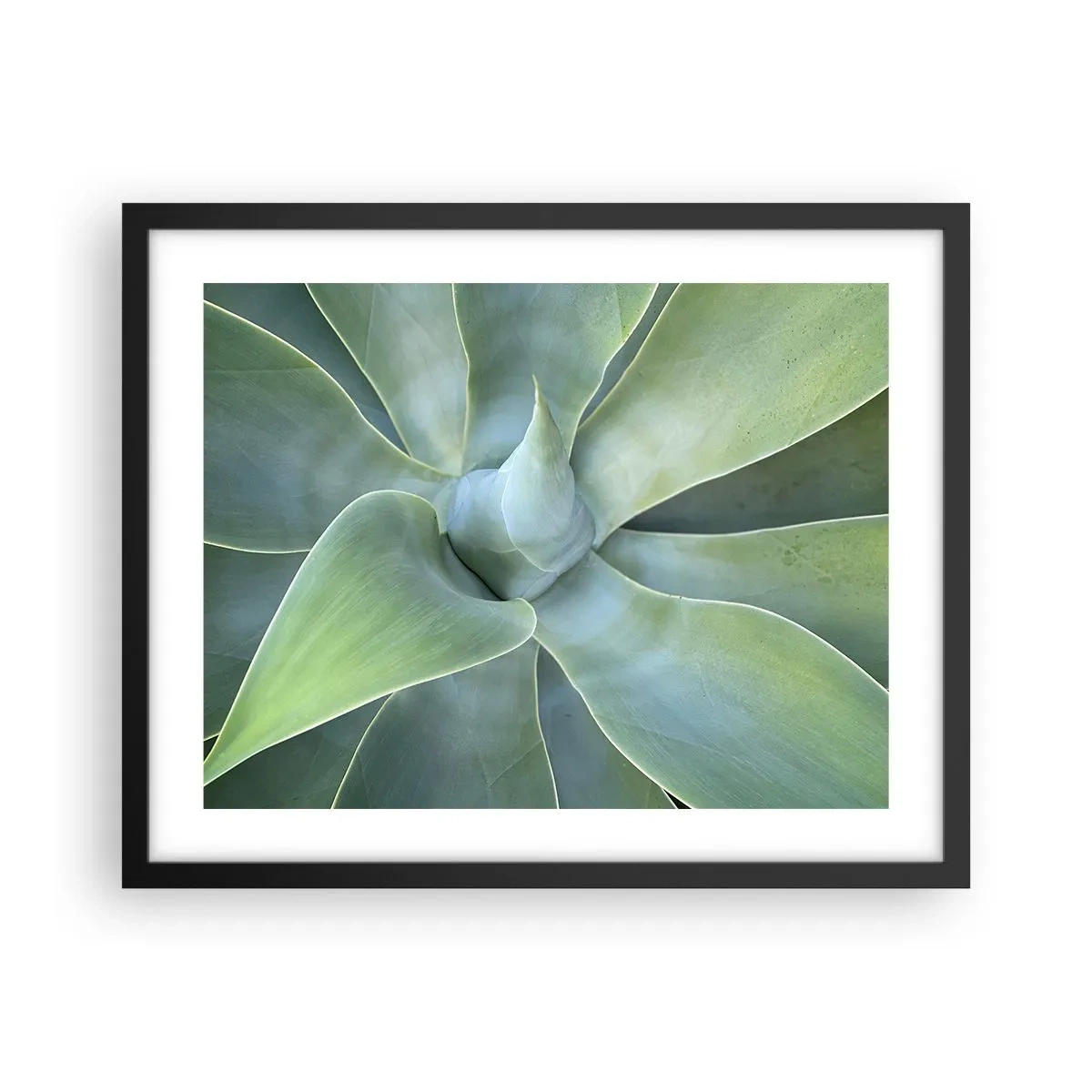 Plakát v černém rámu - Zrození zeleně - 50x40 cm