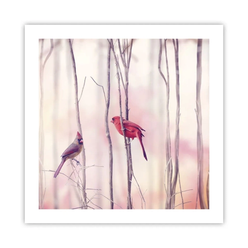 Plakát - Příběh růžového lesa - 50x50 cm