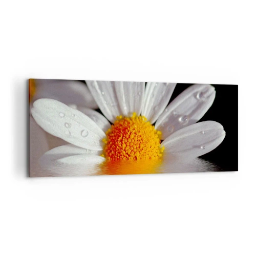 Obraz na plátně - Vycházející slunce sedmikrásky - 100x40 cm