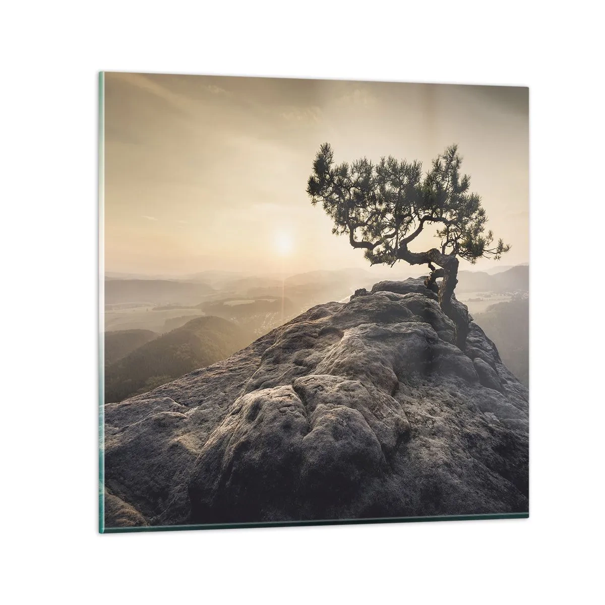 Obraz na skle - Život vždy vítězí - 60x60 cm