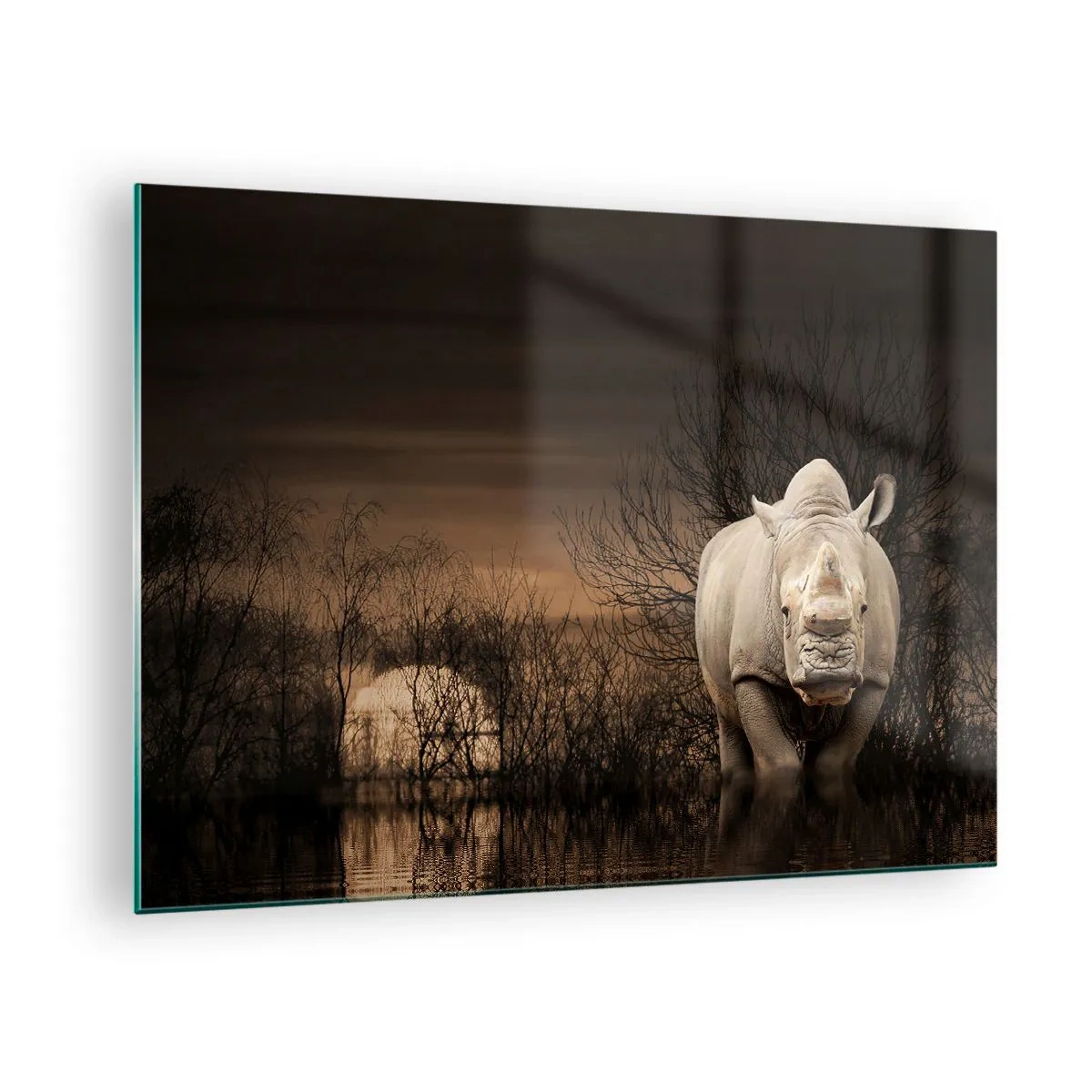 Obraz na skle - Nosorožec proti zapadajícímu slunci - 70x50cm - Bílý proti přírodě - Moderní nástěnná dekorace do obývacího pokoje a ložnice ARTTOR