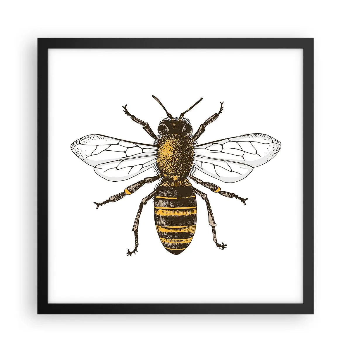 Plakát v černém rámu - Krásná a dobrá - 40x40 cm