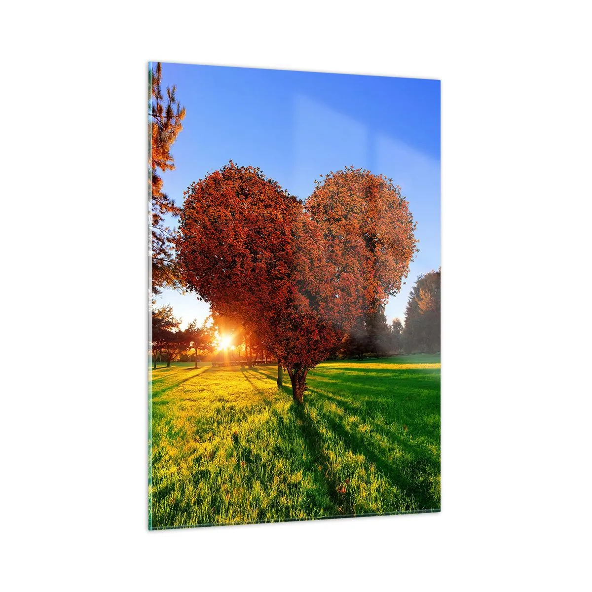 Obraz na skle - Jak nemilovat podzim - 50x70 cm