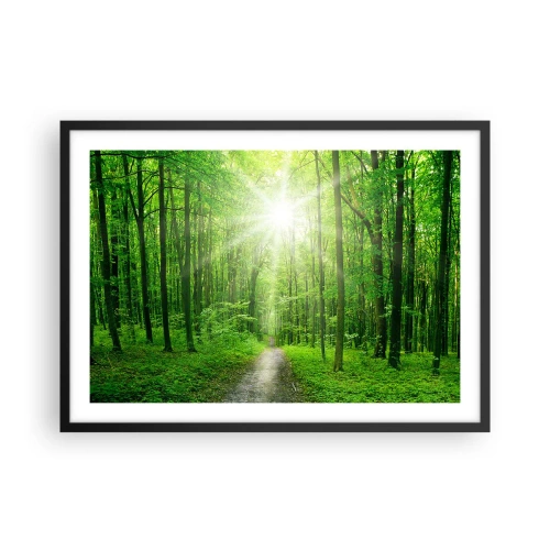 Plakát v černém rámu - Zelená katedrála - 70x50 cm