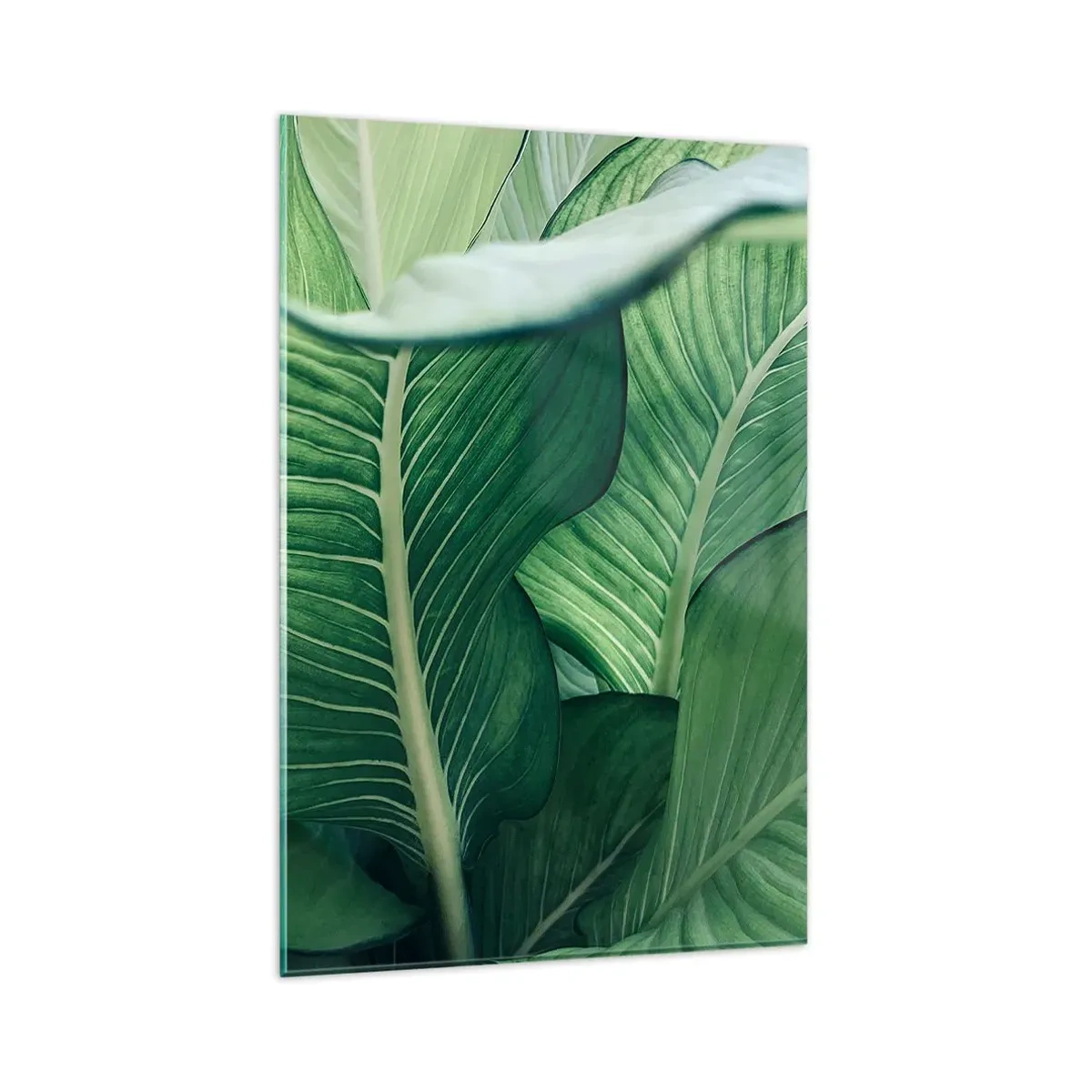 Obraz na skle - Intenzivně zelený život - 80x120 cm