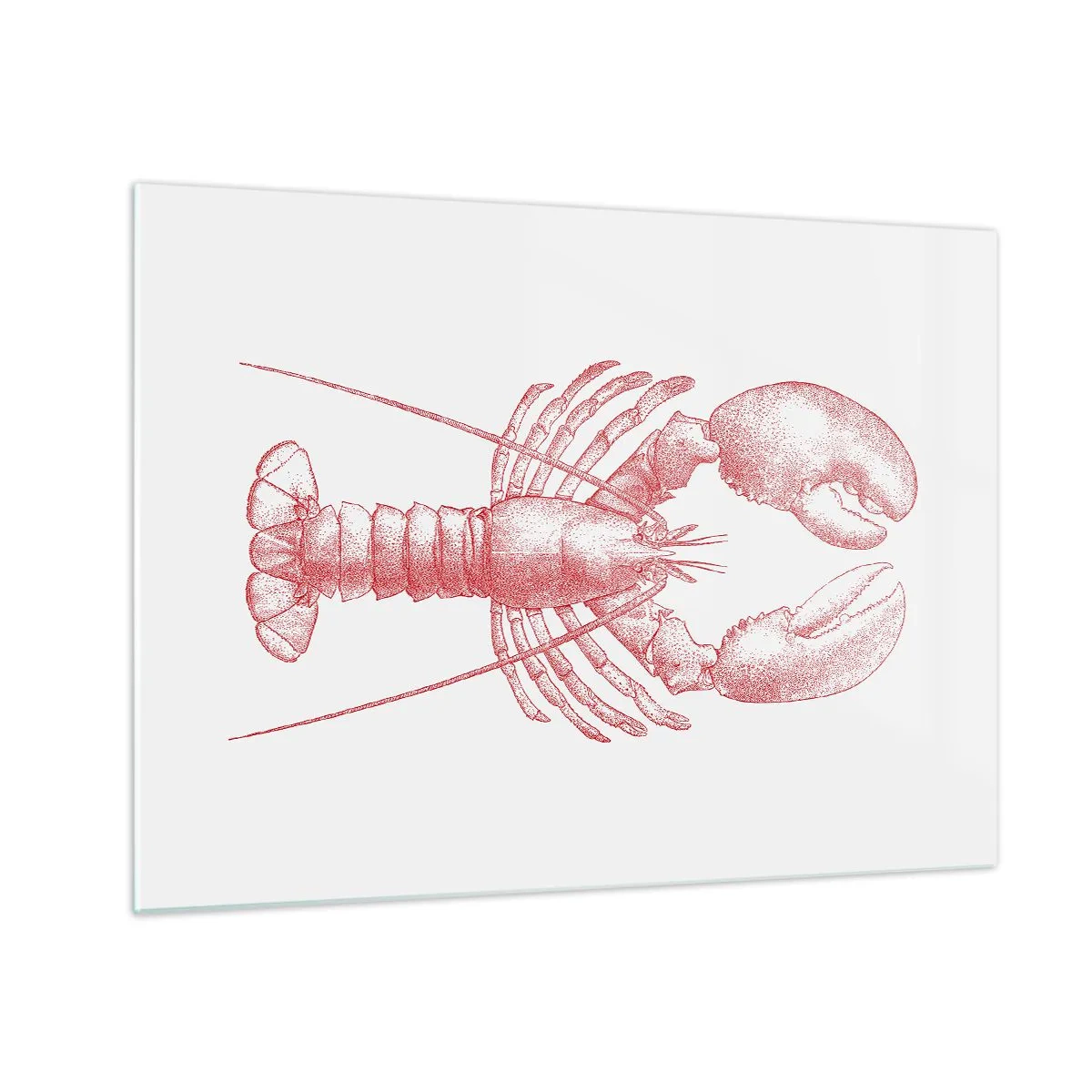 Obraz na skle - Náčrt humra v červené barvě na světlém pozadí - 70x50cm - Humr hodný Homéra - Moderní nástěnná dekorace do obývacího pokoje a ložnice ARTTOR