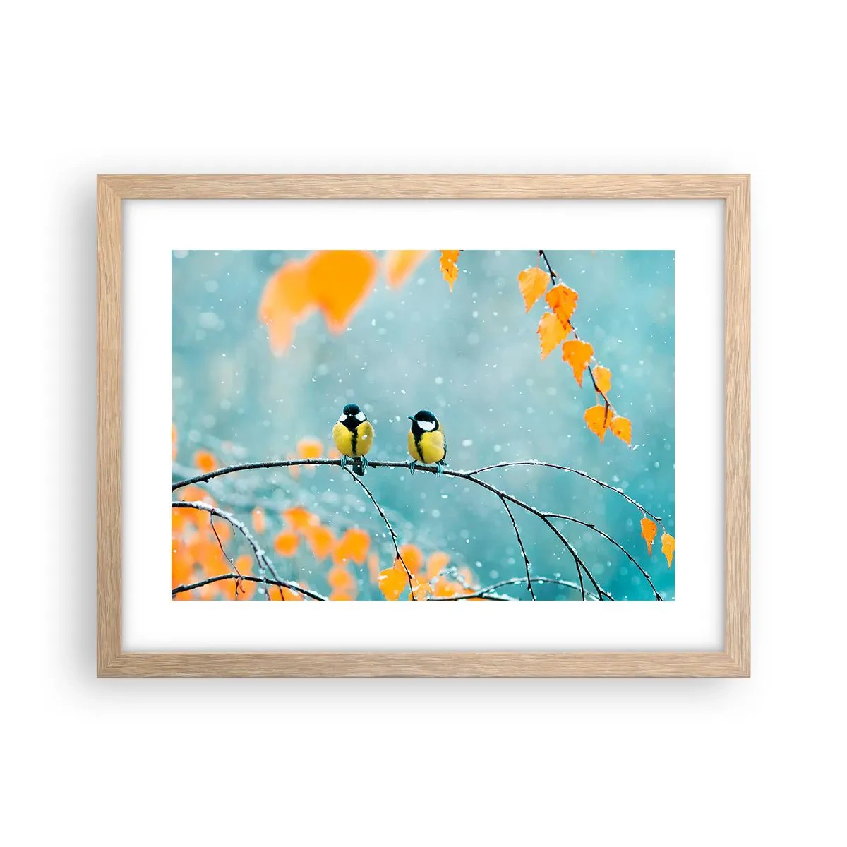 Plakát v rámu světlý dub - Ptačí drby - 40x30 cm