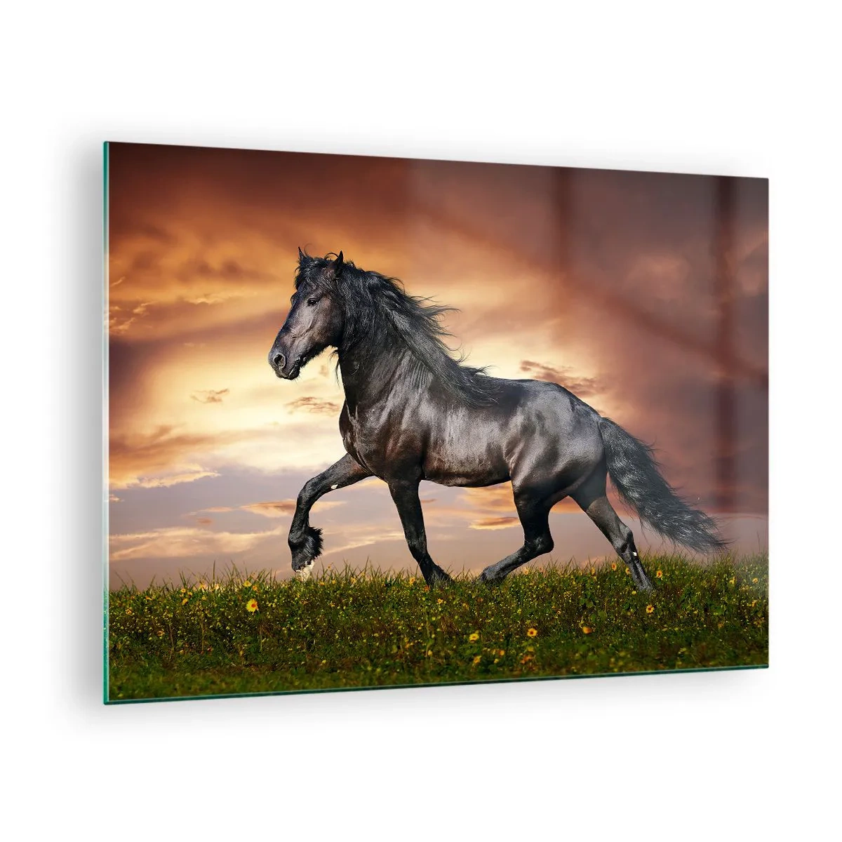 Obraz na skle - Černý kůň cválající proti zapadajícímu slunci - 70x50cm - Černý kníže - Moderní nástěnná dekorace do obývacího pokoje a ložnice ARTTOR