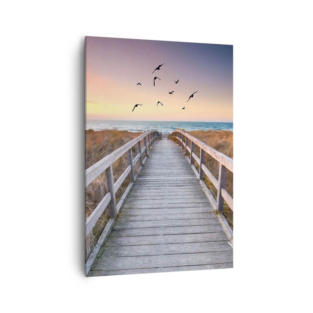 Obraz na plátně - Prostor pro vzestupy - 70x100 cm