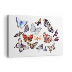 Obraz na plátně - Krajkový, barevný roj - 120x80 cm