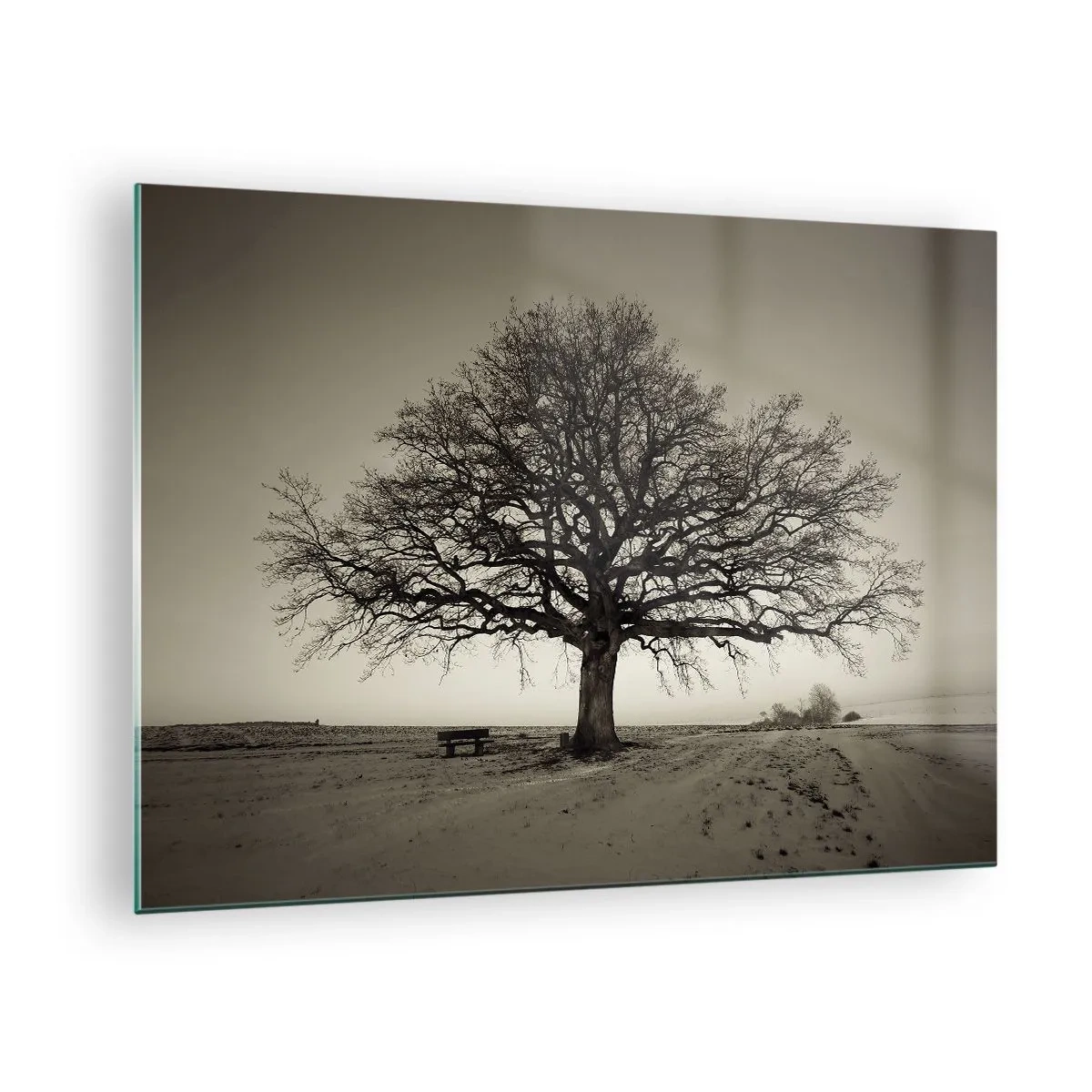 Obraz na skle - Osamělý strom v monochromatické krajině - 70x50cm - Odtud až na věčnost - Moderní nástěnná dekorace do obývacího pokoje a ložnice ARTTOR