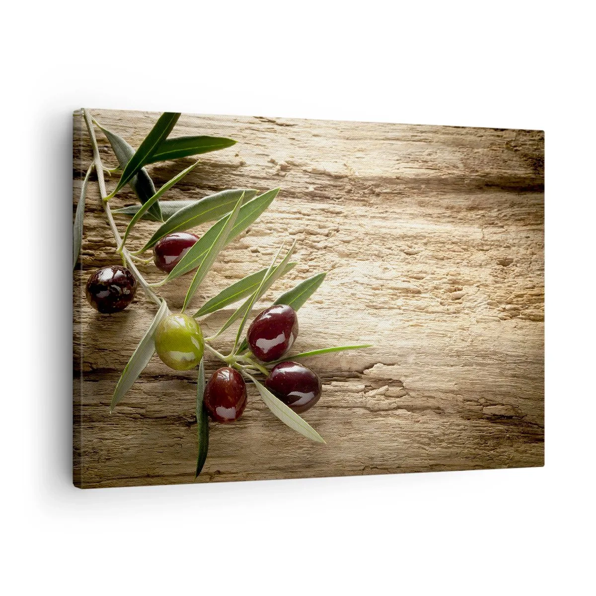 Obraz na plátně - Přímo od přírody - 70x50 cm