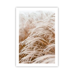 Plakát - Klanění podzimnímu slunci - 50x70 cm