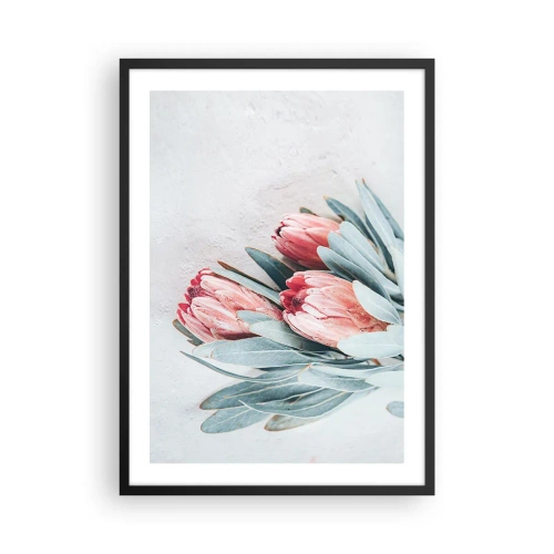 Plakát v černém rámu - Jemná kompozice květů protey na světlém pozadí - 50x70cm - Zahanbené svou vlastní krásou - Moderní nástěnná dekorace do obývacího pokoje a ložnice ARTTOR