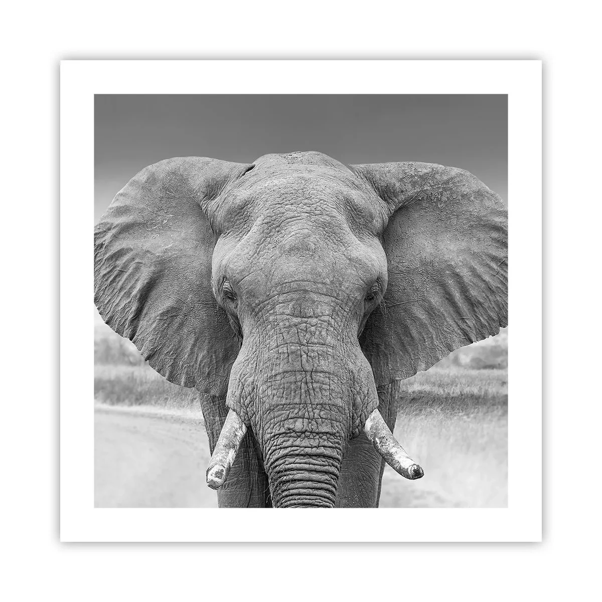 Plakát - Vítejte v mém světě - 50x50 cm