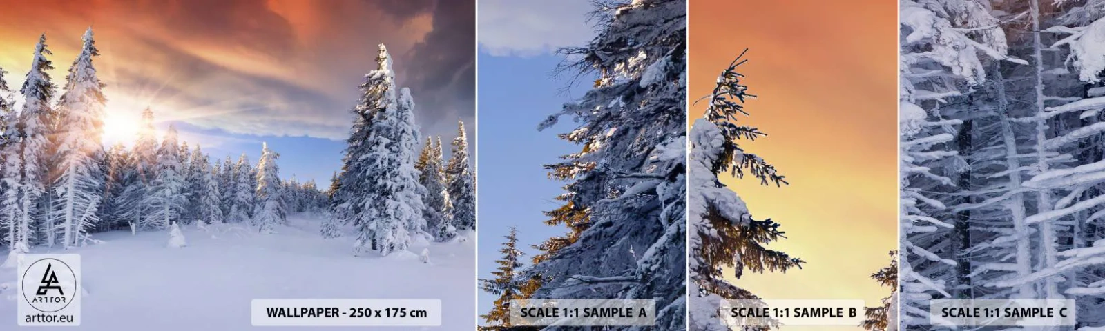 Fototapeta Vzorek Standard Eco - Sněžné představení přírody - Krajina, Les, Zima - 100x30 cm