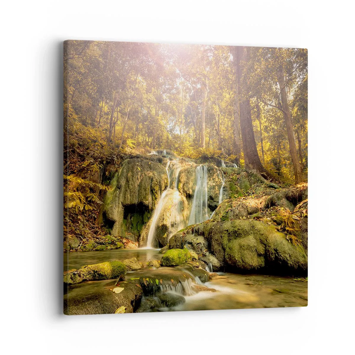 Obraz na plátně - Lesní vodopád v zelené - 40x40 cm