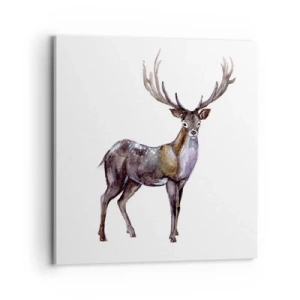 Obraz na plátně - Král půlnoční pouště - 70x70 cm