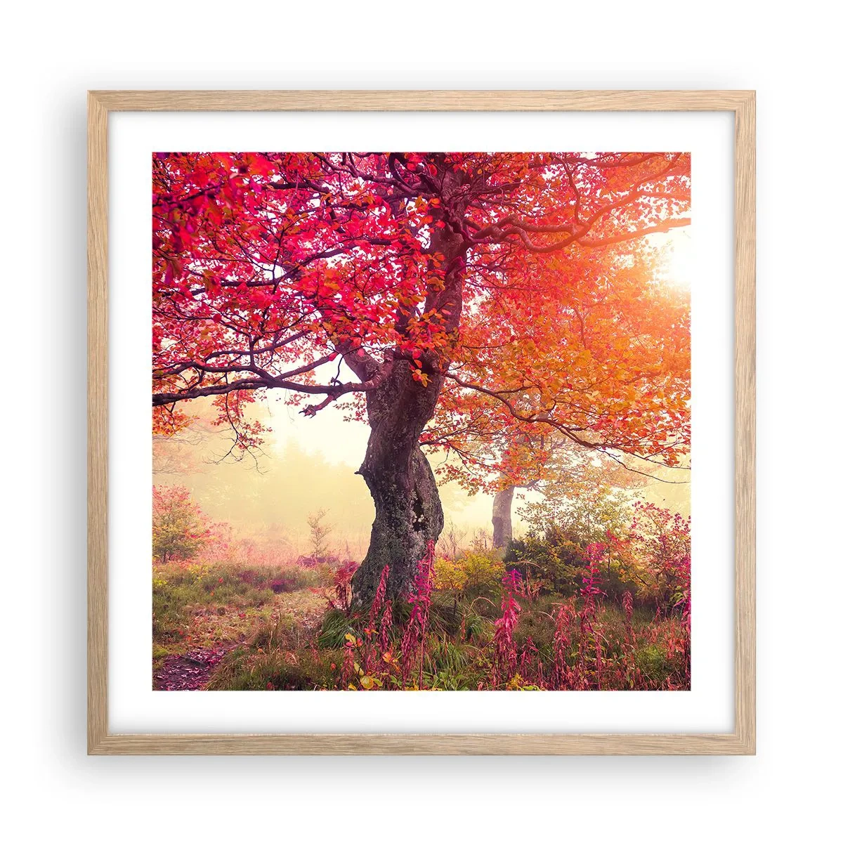 Plakát v rámu světlý dub - Šílenství rozkvětu - 50x50 cm