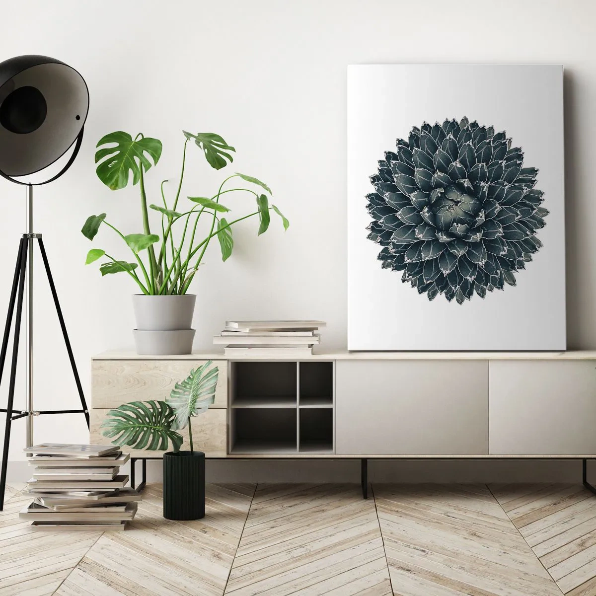 Obraz na plátně - Hvězda pouště - 50x70 cm