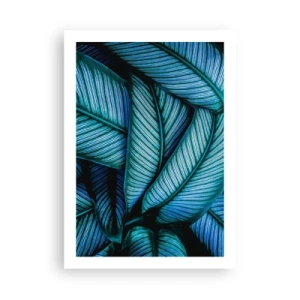 Plakát - Čáry života - 50x70 cm