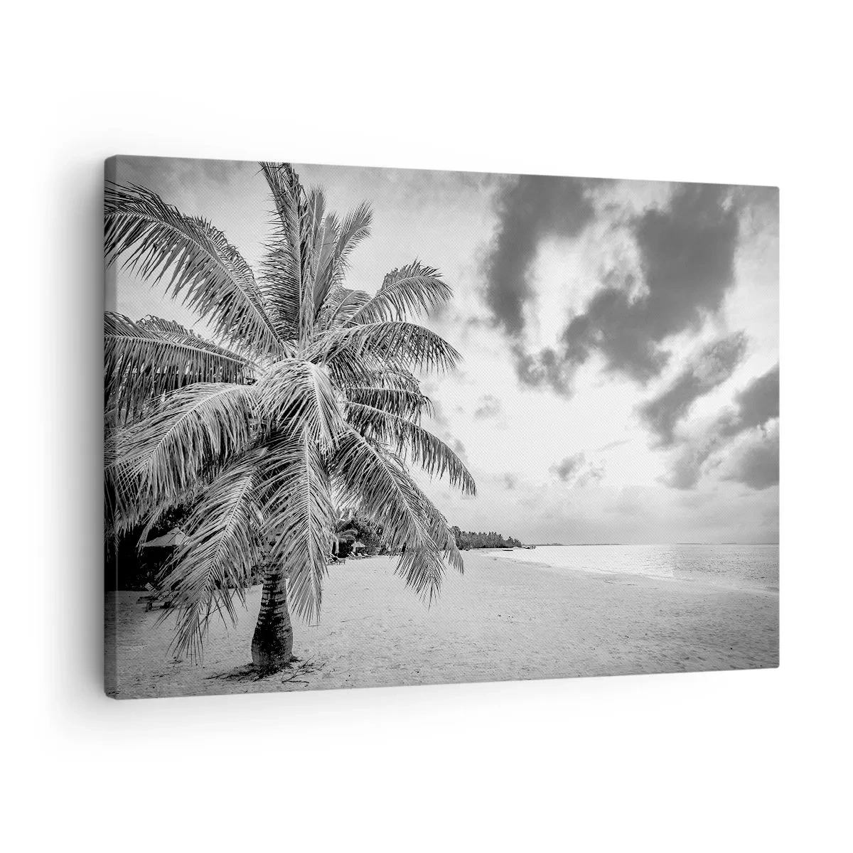 Obraz na plátně - Černá a bílá palma na prázdné pláži s mraky - 70x50cm - Když toužíš po samotě…. - Moderní nástěnná dekorace do obývacího pokoje a ložnice ARTTOR