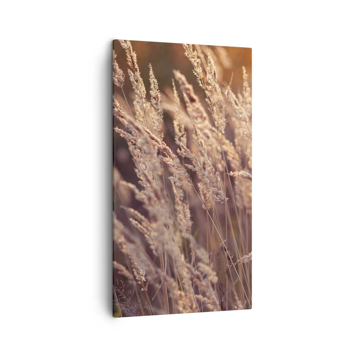 Obraz na plátně - Připraveni přivítat podzim - 45x80 cm