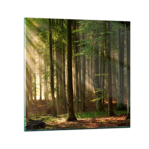 Obraz na skle - Rozzářený v jarním ránu - 50x50 cm