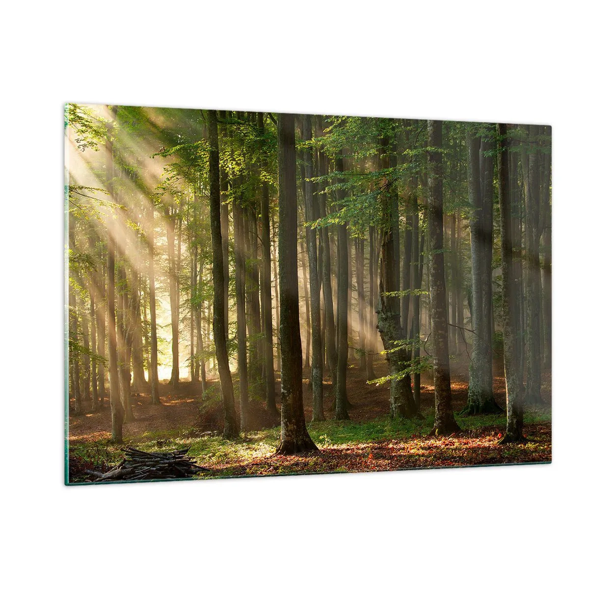 Obraz na skle - Rozzářený v jarním ránu - 120x80 cm