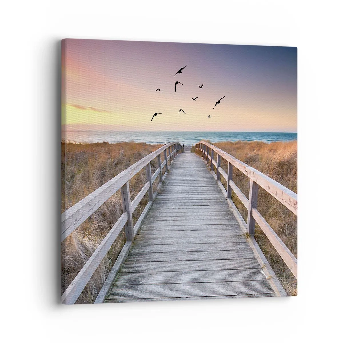 Obraz na plátně - Prostor pro vzestupy - 40x40 cm