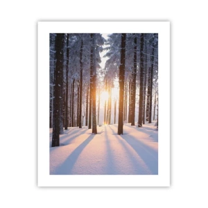 Plakát - Jasně černé na bílém - 40x50 cm