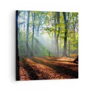 Obraz na plátně - Světla a stíny - 60x60 cm