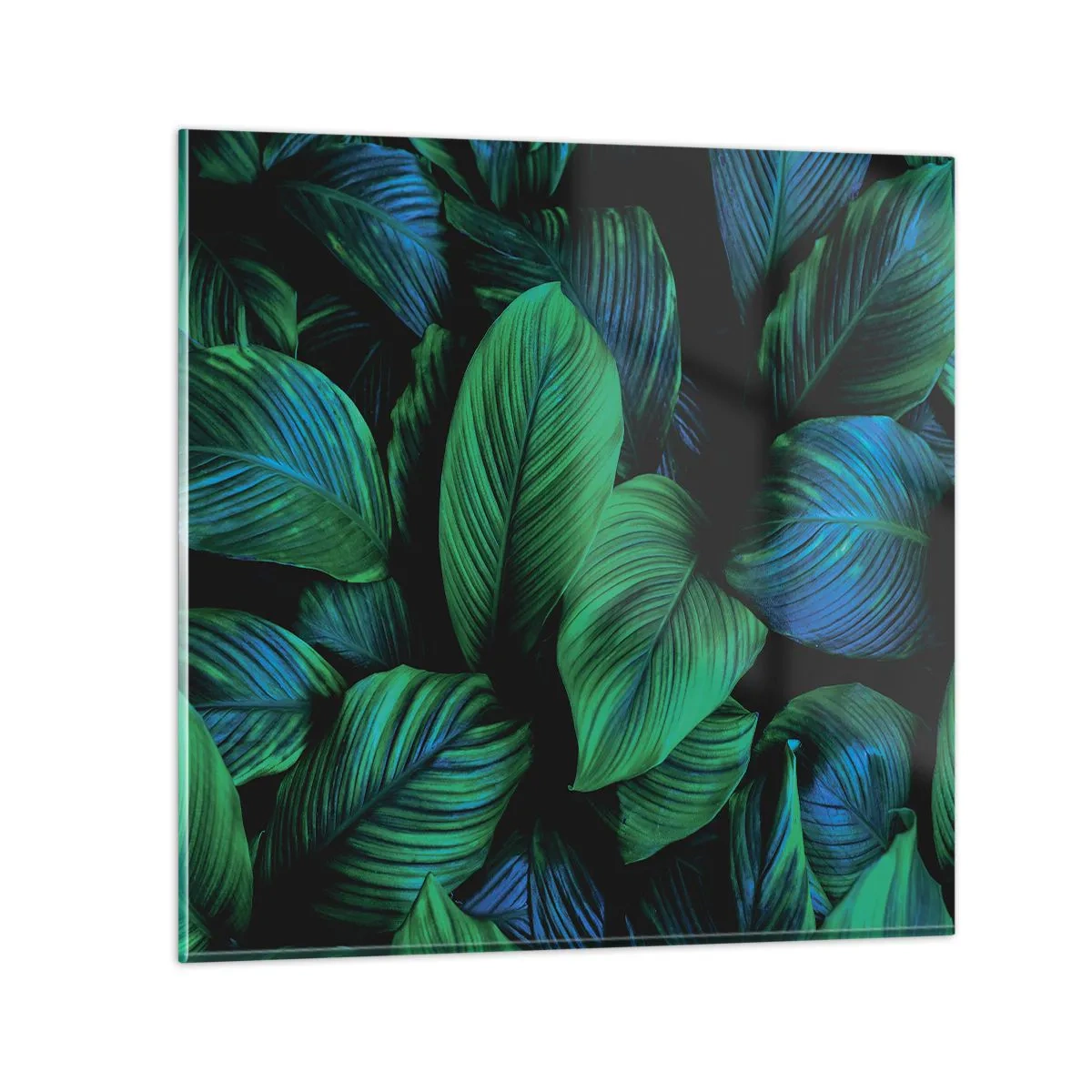 Obraz na skle - V zeleném davu - 40x40 cm