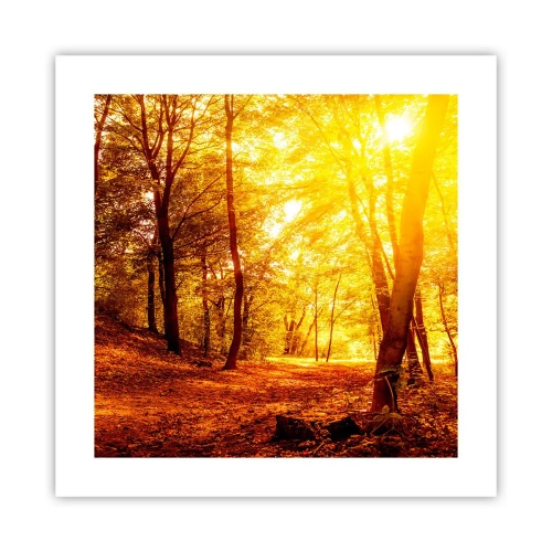 Plakát - Ke zlaté mýtině - 40x40 cm