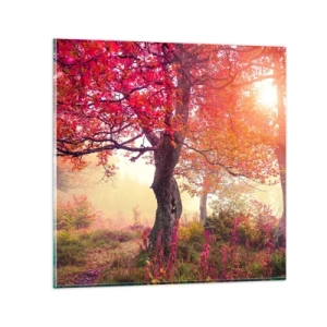 Obraz na skle - Šílenství rozkvětu - 30x30 cm