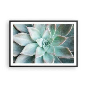 Plakát v černém rámu - Srdce pouště - 91x61 cm