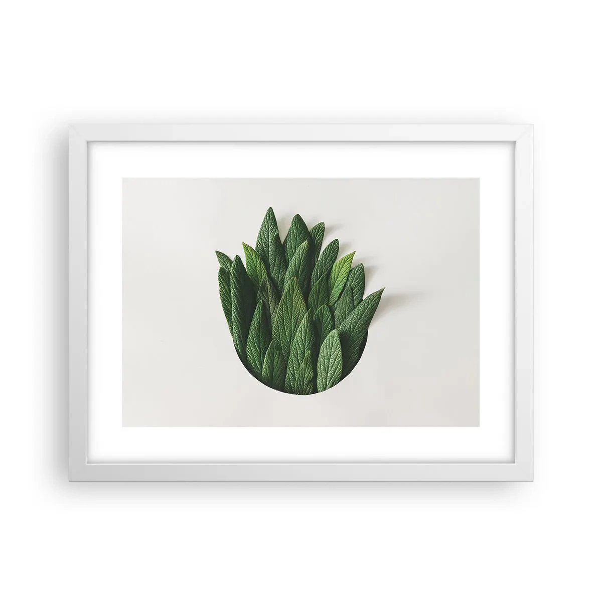 Plakát v bílém rámu - Neukojitelná zvědavost - 40x30 cm