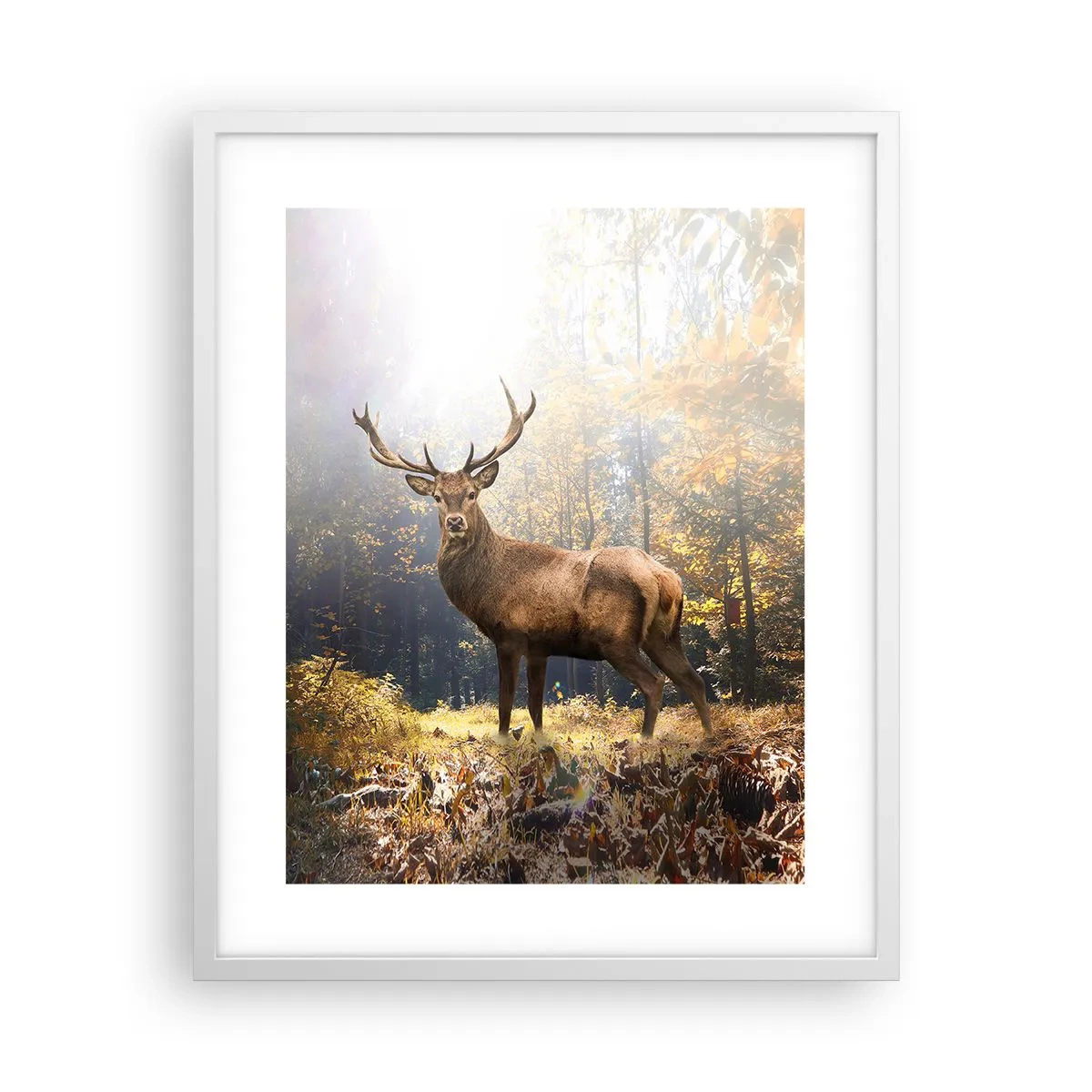 Plakát v bílém rámu - Plné důstojnosti - 40x50 cm