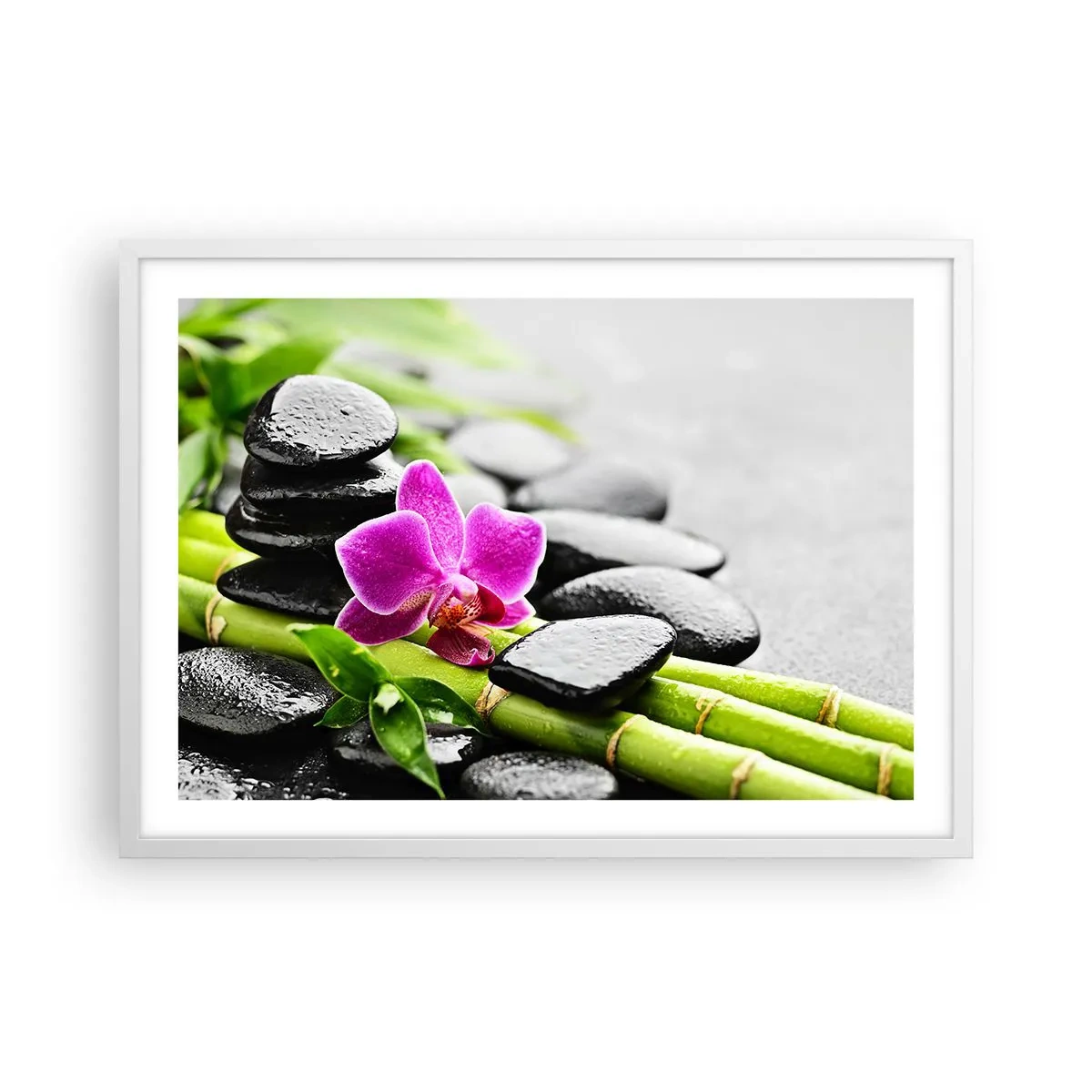 Plakát v bílém rámu - V klidné rovnováze - 70x50 cm